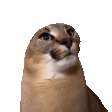 1628561070850