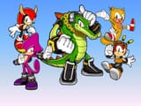 team_chaotix_wallpaper_by_9029561_d5zcez3-fullview