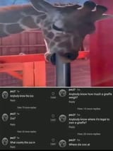 local leizifag