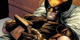 wolverine photo