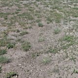 IMG_20250630_140155_913