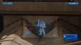 zealot down