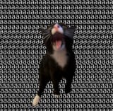 GugeppuWsAAqBWL