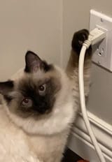NoMorePostingPwease