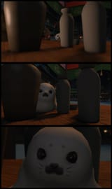 Seal_Peek
