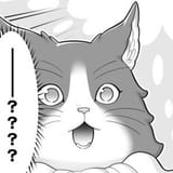 ewi ¿