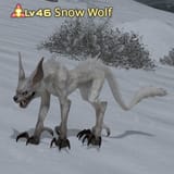 Snow_Wolf