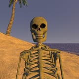 skeleton_wip