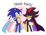 Transgenders Sonic and Shadow