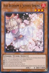 AshBlossomJoyousSpring-SDWD-EN-C-1E