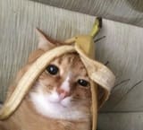 3qwetr
