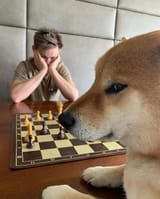 1730437434496503