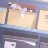 Plushie box