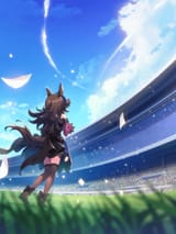 tex_support_card_30023