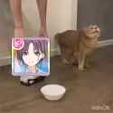 fdsa_thumb.jpg