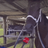 hors-interview