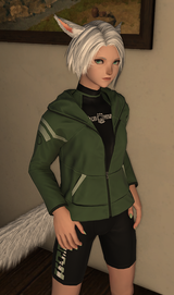 ffxiv_dx11_Oi7Wde0J3a
