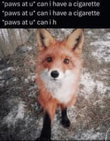 1720843907215909