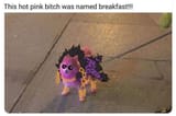 1732040220912