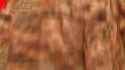 gDZhU1cNNF3D4prX_thumb.jpg