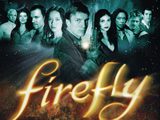 Screenshot 2025-07-02 at 20-54-38 firefly at DuckDuckGo