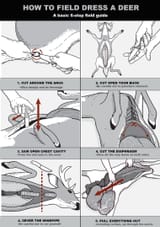 FieldDress-Guide3