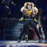 cats musical