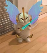 truth-guide-my-sw-ord