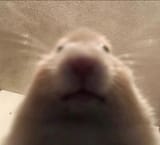 1638037213593
