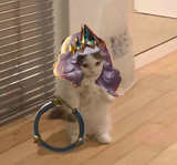 you may now appreciate me