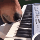 horse-piano-piano