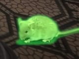 cancer mouse