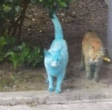 why_are_you_blue_by_smolkyle1_djoaiul