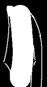2acf7b6b0dd66966
