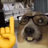 nerd-dog-nerd