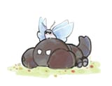 we have gaius at home