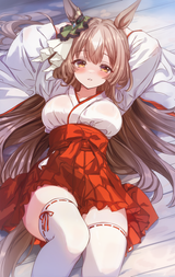 __satono_diamond_umamusume_drawn_by_cutlass_classic_chocolate__607098a6fa8a6436c31bb5356c4226ae