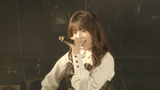 artplayer_20_09 (1)