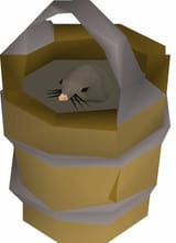 Thread 532479210 OP Image