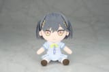 resize_image