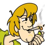 shaggyblunt