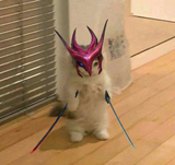 kotyone