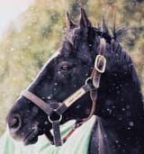 sundaysilence