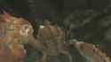 -MONSTER-HUNTER-FRONTIER-Z-v1-52-79-73c49f52-2025-07-02-20-25-32_4_thumb.jpg