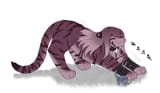 shalombigstretc