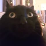 59175