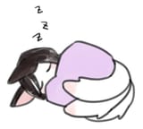 sleep fox