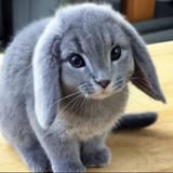 bafkreid73caw5c27otrviwh5lwswb7gdc4m7kij3uiyp4qvxm6nw5taqpa_jpg