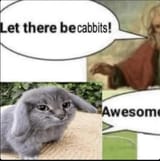 bafkreibo2mzjnjtsncrgycwoy54345zivlkj4g654oixpbr6ppy2omgbdu_jpg