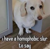 homophobedog